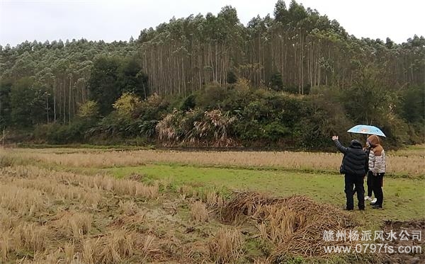 梧州市陈老师带着爱徒寻龙点穴